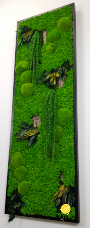tablou-licheni-vertical-amaranthus-verde.jpg [7]