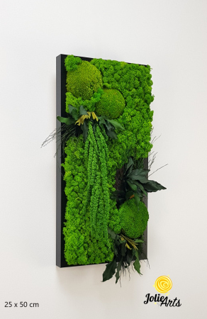 Tablouri licheni - tablou-licheni-vertical-amaranthus-verde.jpg