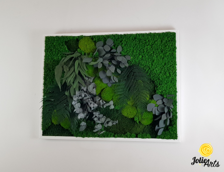 Tablou Green Flow – licheni, mușchi bombat și plante naturale, 80 x 100 cm ramă albă / 80 x 120 cm fără ramă [1]