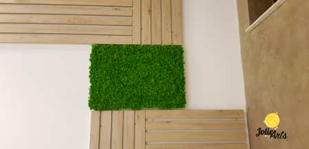 Panouri Decorate cu Licheni Naturali Stabilizati [3]