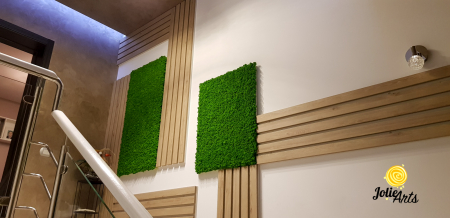 Proiecte personalizate - Panouri Decorate cu Licheni Naturali Stabilizati