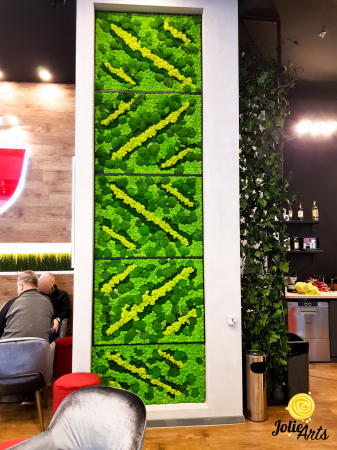 Panouri decorative cafenea, licheni, muschi bombati, plante naturale stabilizate [1]