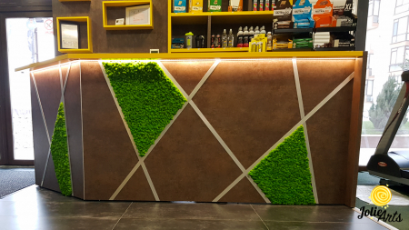 Panouri decorative cu licheni naturali Jolie Arts, Urban GYM [1]