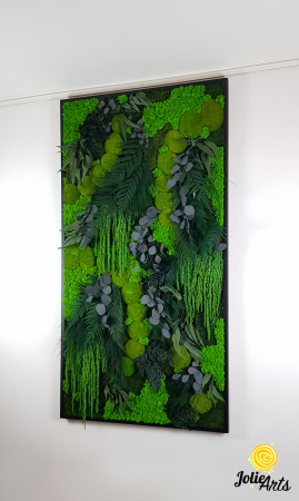 Toate Produsele - Perete verde – compoziție cu mușchi, licheni și plante naturale stabilizate, ramă neagră 70 x 190 cm