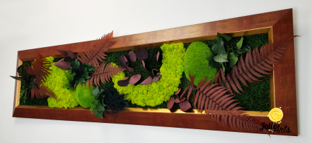 Tablou Model Red Amazon – Licheni, Mușchi și Plante Naturale Stabilizate – Ramă Roșu Patinat cu Inserții Aurii [5]