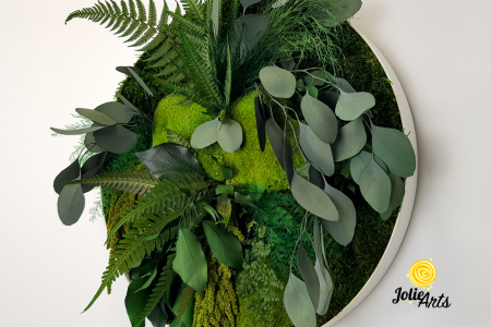 Tablou rotund Round Green Circle, licheni și mușchi naturali stabilizați Jolie Arts [5]