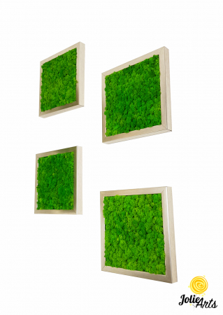 Tablouri licheni - Set 4 tablouri cu licheni naturali stabilizati Jolie Arts