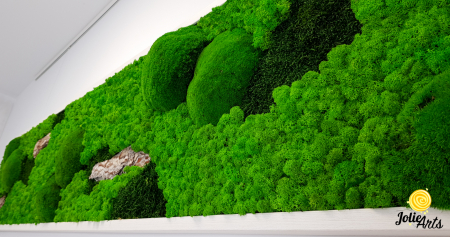 Tablou Scoarță Clasică Jolie Arts cu Mușchi și Licheni Naturali [5]