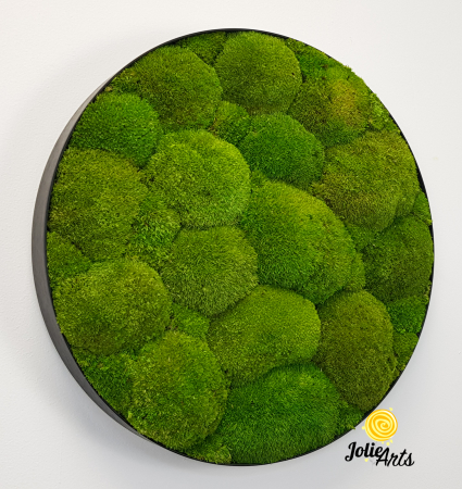 tablou-rotund-muschi-bombati-naturali-stabilizati [5]