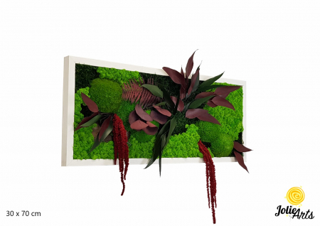 Tablou licheni, muschi si plante naturale stabilizate, Model Amaranthus Rosu, 30 x 70 cm, rama neagra, Jolie Arts, www.tablouriculicheni.ro-2 [0]