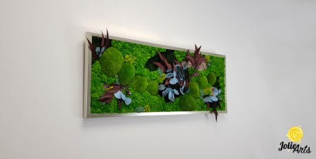 Tablou Ilona – licheni, mușchi bombat, scoarță de pin și plante naturale stabilizate [1]