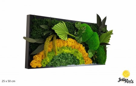 Tablouri - Model Soare Clasic - tablou cu licheni, mușchi stabilizați și plante naturale