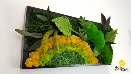 Model Soare, tablou licheni, muschi si plante naturale stabilizate, 30 x 70 cm, rama de culoare maro inchis, Jolie Arts, www.tablouriculicheni.ro-2 [4]