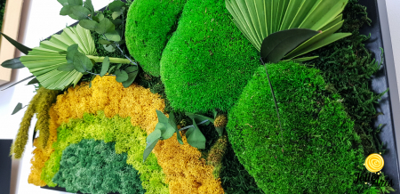 Model Soare, tablou licheni, muschi si plante naturale stabilizate, 30 x 70 cm, rama de culoare maro inchis, Jolie Arts, www.tablouriculicheni.ro-2 [7]