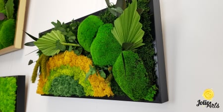 Model Soare, tablou licheni, muschi si plante naturale stabilizate, 30 x 70 cm, rama de culoare maro inchis, Jolie Arts, www.tablouriculicheni.ro-2 [5]