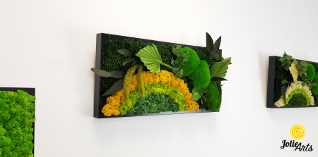 Model Soare, tablou licheni, muschi si plante naturale stabilizate, 30 x 70 cm, rama de culoare maro inchis, Jolie Arts, www.tablouriculicheni.ro-2 [3]