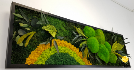 Model Soare Clasic - tablou cu licheni, mușchi stabilizați și plante naturale [5]