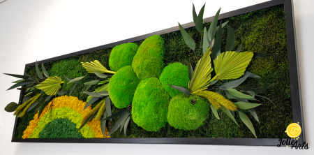 Model Soare Clasic - tablou cu licheni, mușchi stabilizați și plante naturale [6]