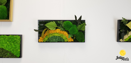 Model Soare Clasic - tablou cu licheni, mușchi stabilizați și plante naturale [2]