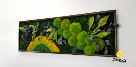 Model Soare, tablou licheni, muschi si plante naturale stabilizate, 30 x 70 cm, rama de culoare maro inchis, Jolie Arts, www.tablouriculicheni.ro-2 [1]