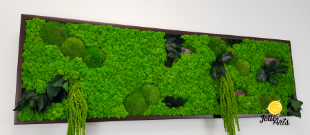 Tablou licheni, muschi bombati, plante si elemente naturale stabilizate Jolie Arts, Model Amaranthus [5]