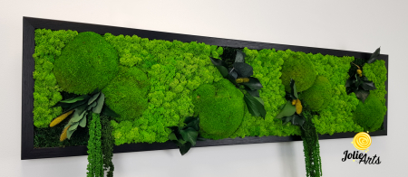 Model Green Amaranthus – Tablou cu licheni, mușchi și plante stabilizate [5]