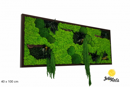 Tablouri cu licheni, muschi si plante naturale stabilizate - Model Green Amaranthus – Tablou cu licheni, mușchi și plante stabilizate