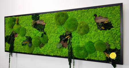 Tablou licheni, muschi bombati, plante si elemente naturale stabilizate Jolie Arts, Model Amaranthus [5]