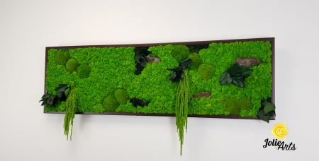 Tablou licheni, muschi bombati, plante si elemente naturale stabilizate Jolie Arts, Model Amaranthus [1]