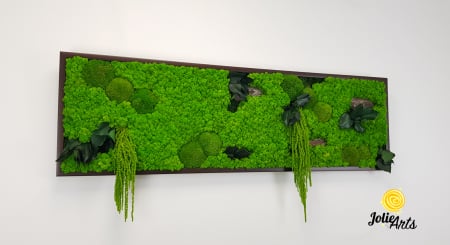 Tablou licheni, muschi bombati, plante si elemente naturale stabilizate Jolie Arts, Model Amaranthus [3]