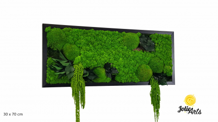 Tablouri cu licheni, muschi si plante naturale stabilizate - Model Green Amaranthus – Tablou cu licheni, mușchi și plante stabilizate