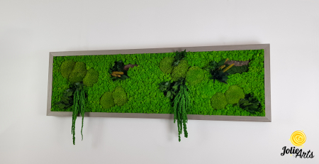 Model Green Amaranthus – Tablou cu licheni, mușchi și plante stabilizate [1]