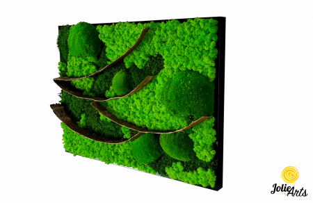 Tablouri cu licheni, muschi si plante naturale stabilizate - Tablou Linii Naturale – licheni, mușchi bombat și scoarță, ramă neagră