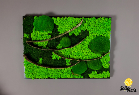 Tablou licheni, muschi bombati si elemente naturale stabilizate Jolie Arts, dimensiune 50 x 70 cm [2]