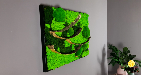 Tablou licheni, muschi bombati si elemente naturale stabilizate Jolie Arts, dimensiune 50 x 70 cm [1]