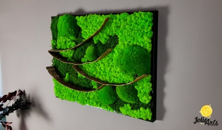 Tablou licheni, muschi bombati si elemente naturale stabilizate Jolie Arts, dimensiune 50 x 70 cm [5]