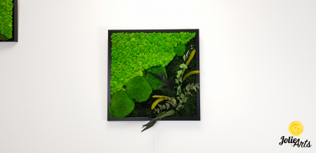 Tablou Clarice – 50 x 50 cm, licheni, mușchi bombat și plante naturale [5]