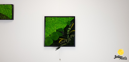Tablou Clarice – 50 x 50 cm, licheni, mușchi bombat și plante naturale [2]