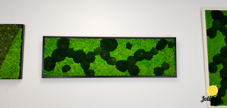 Tablou licheni, muschi bombati verde inchis, Jolie Arts [2]