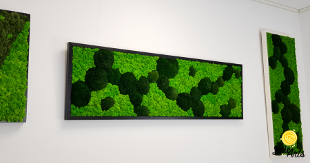 Tablou licheni, muschi bombati verde inchis, Jolie Arts [3]