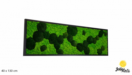 Tablou licheni, muschi bombati verde inchis, Jolie Arts [0]