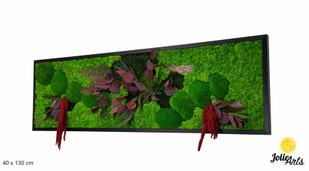 Tablouri cu licheni, muschi si plante naturale stabilizate - Tablou Amaranthus Roșu orizontal cu licheni și mușchi naturali