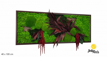Tablou Amaranthus Roșu orizontal cu licheni și mușchi naturali [2]