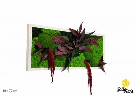 Toate Produsele - Tablou Amaranthus Roșu orizontal cu licheni și mușchi naturali