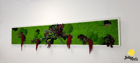 Tablou licheni, muschi si plante naturale stabilizate, Jolie Arts, Model Amaranthus Rosu [2]