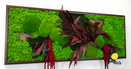 Tablou Amaranthus Roșu orizontal cu licheni și mușchi naturali [7]