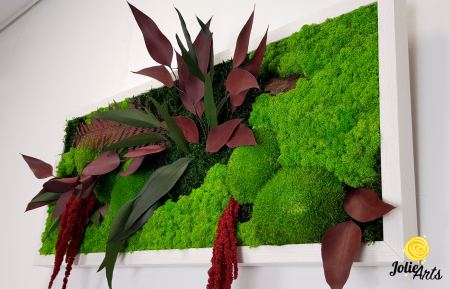 Tablou Amaranthus Roșu orizontal cu licheni și mușchi naturali [5]