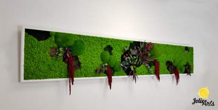 Tablou licheni, muschi si plante naturale stabilizate, Jolie Arts, Model Amaranthus Rosu [1]