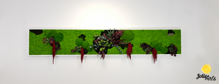 Tablou licheni, muschi si plante naturale stabilizate, Jolie Arts, Model Amaranthus Rosu [3]
