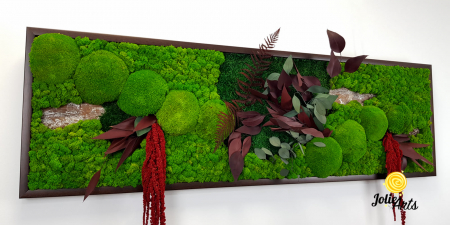 Tablou Amaranthus Roșu orizontal cu licheni și mușchi naturali [5]